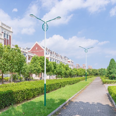 led路燈戶(hù)外防水農(nóng)村市政道路工程照明市電6米8米單臂路燈批發(fā)